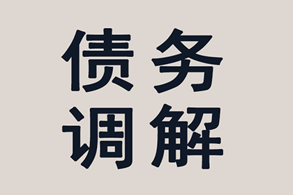 借贷与买卖合同争议解决策略